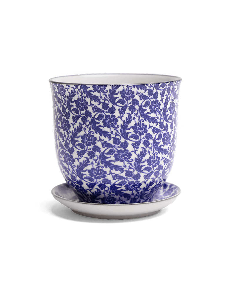 Liberte Porcelain Pot And Saucer Set With Drainage - Chive UK