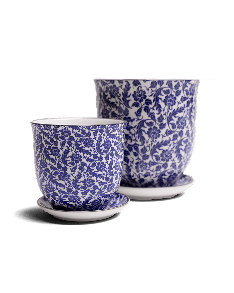 Liberte Porcelain Pot And Saucer Set With Drainage - Chive UK