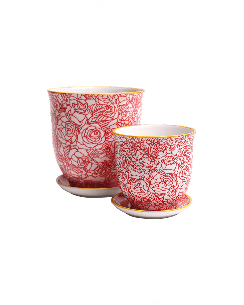 Liberte Porcelain Pot And Saucer Set With Drainage - Chive UK