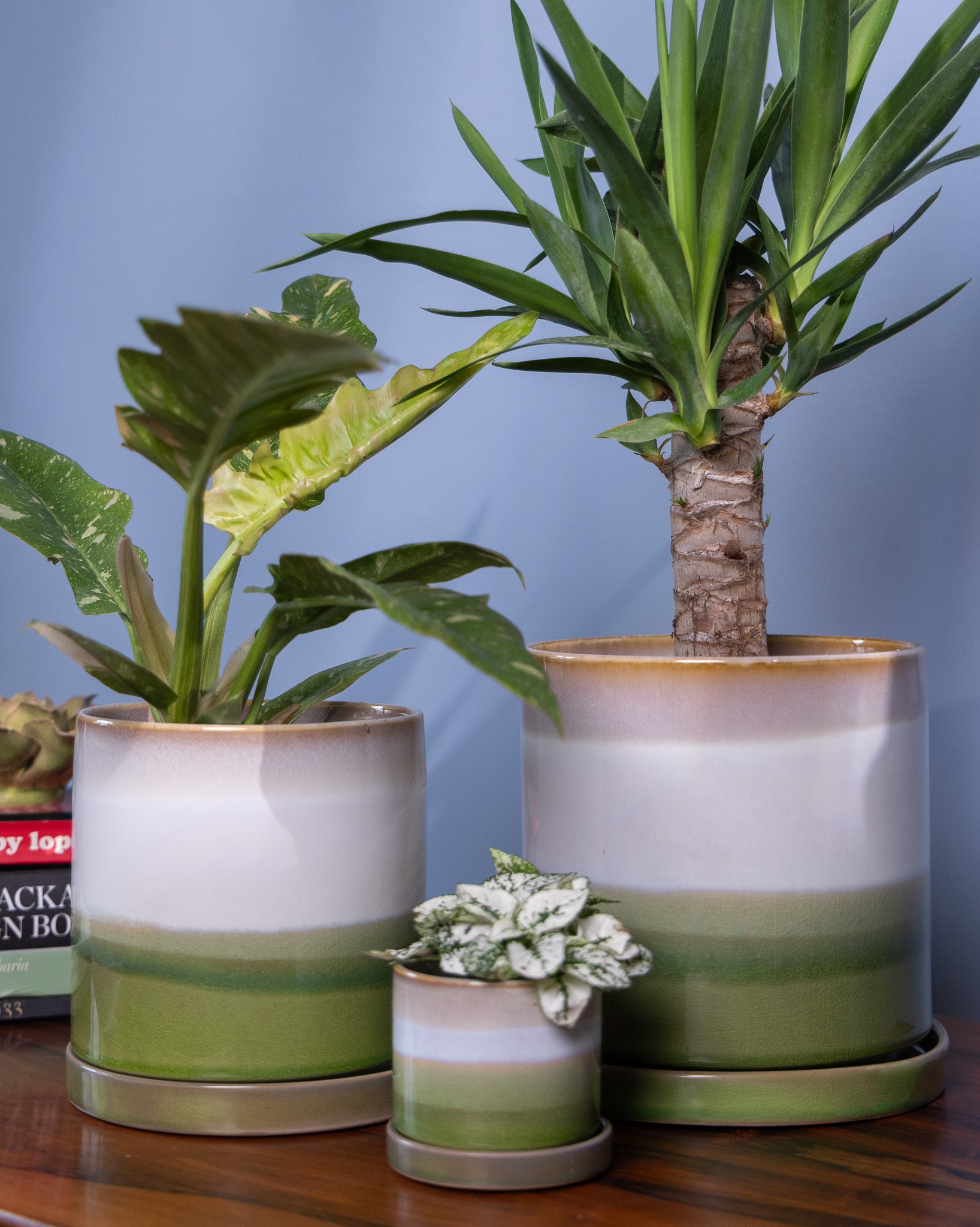 Minute Ceramic Pot And Saucer Set With Drainage - Chive UK
