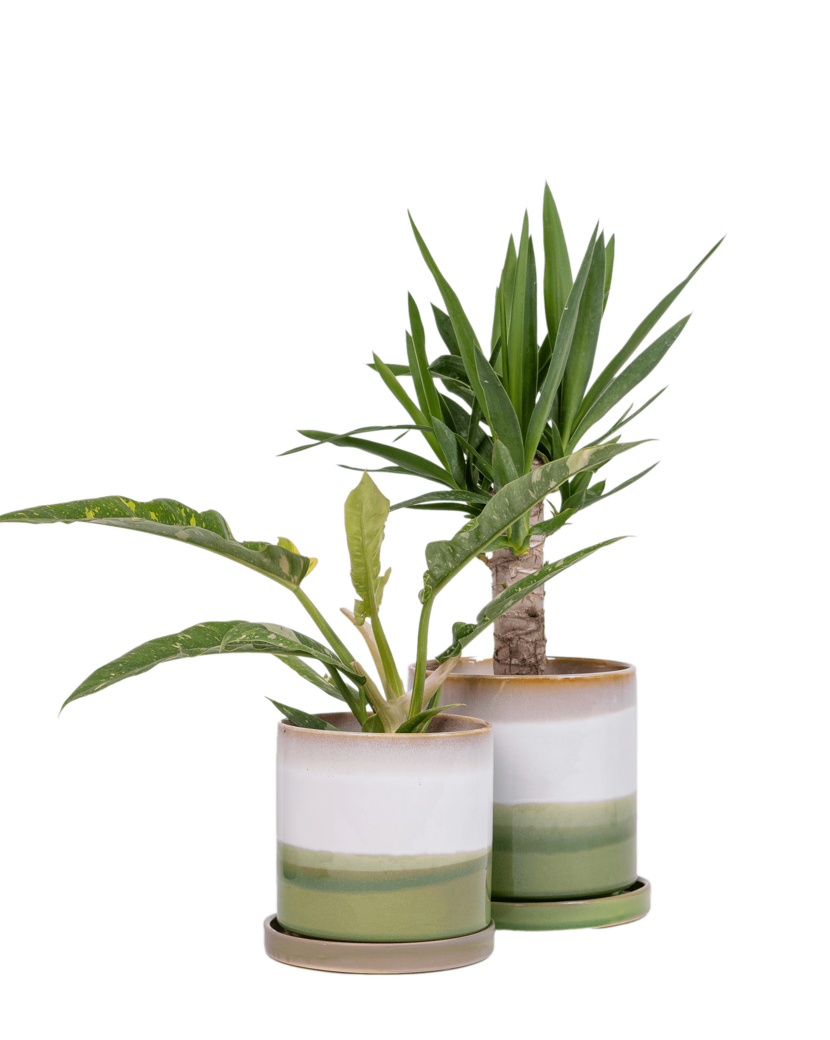 Minute Ceramic Pot And Saucer Set With Drainage - Chive UK