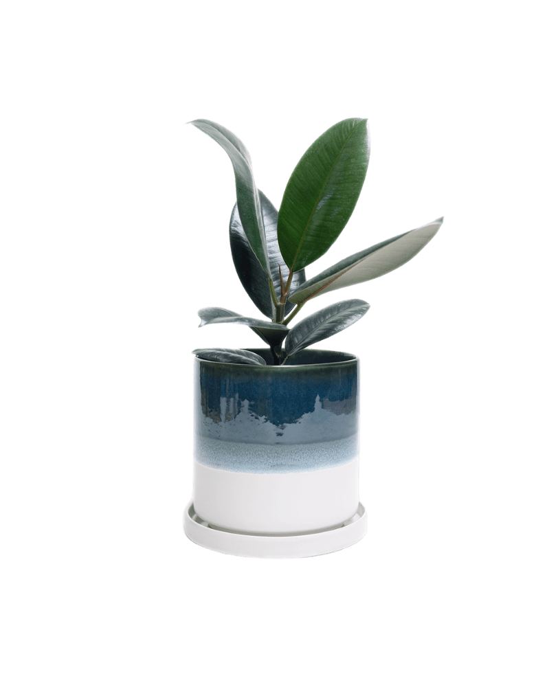 Minute Ceramic Pot And Saucer Set With Drainage - Chive UK