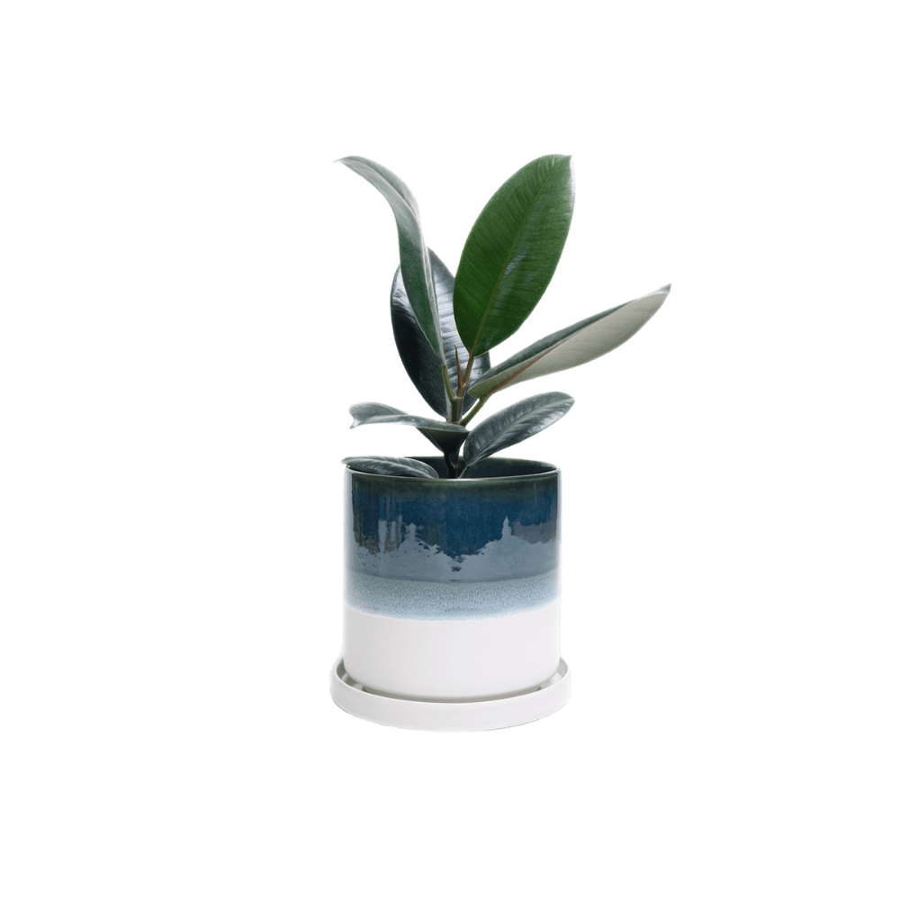 Minute Ceramic Pot And Saucer Set With Drainage - Chive UK
