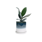 Minute Ceramic Pot And Saucer Set With Drainage - Chive UK