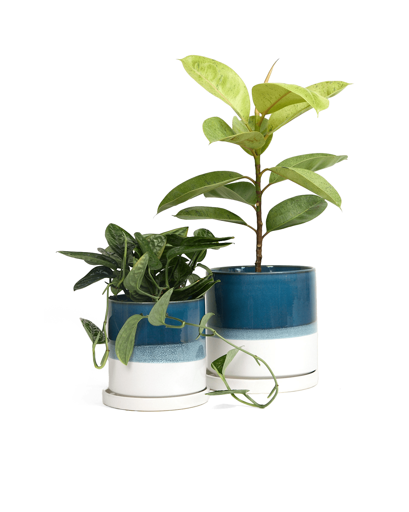 Minute Ceramic Pot And Saucer Set With Drainage - Chive UK