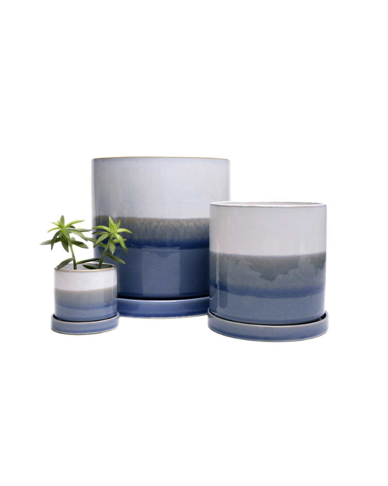 Minute Ceramic Pot And Saucer Set With Drainage - Chive UK