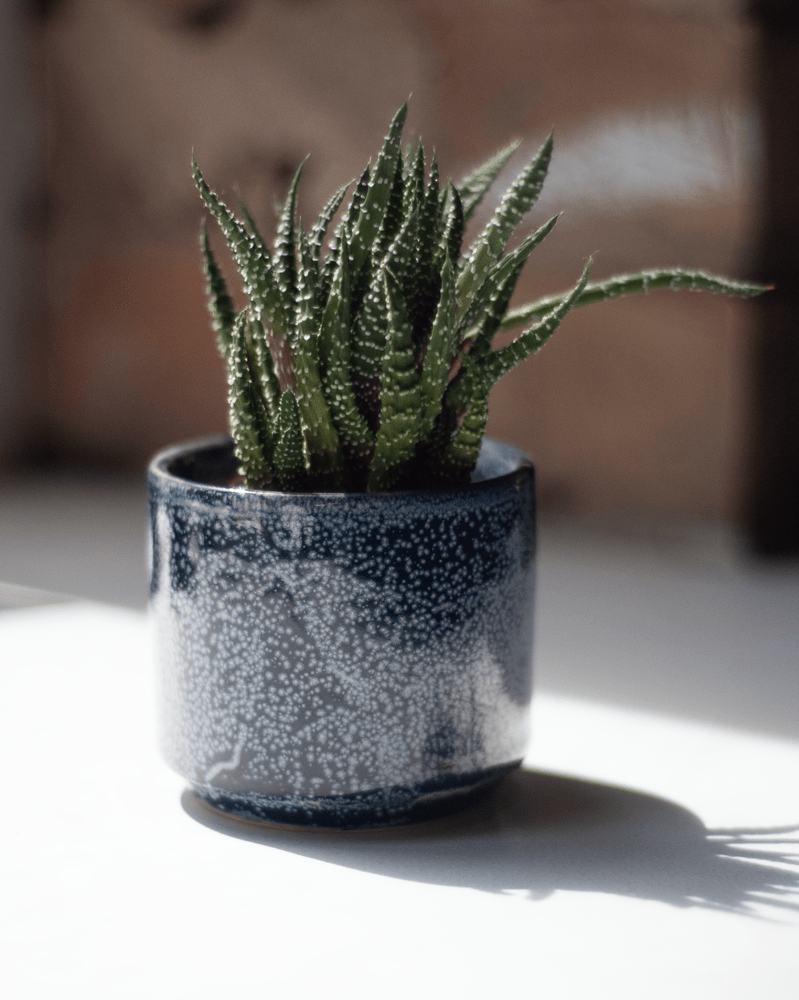 Minute Ceramic Pot And Saucer Set With Drainage - Chive UK