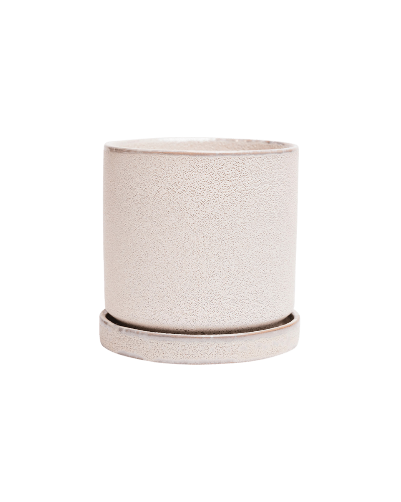 Minute Ceramic Pot And Saucer Set With Drainage - Chive UK
