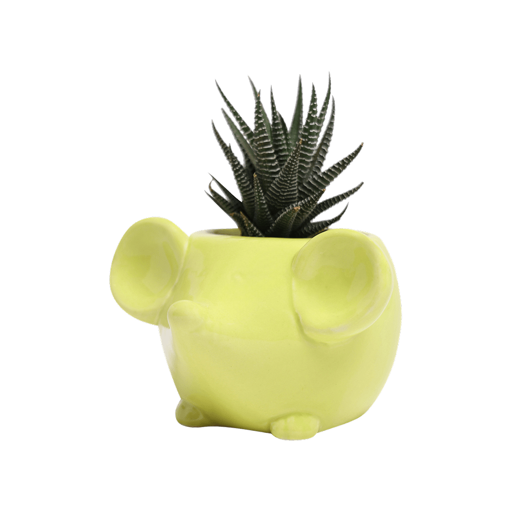 Mouse Ceramic Indoor Plant Pot For Succulents - Chive UK