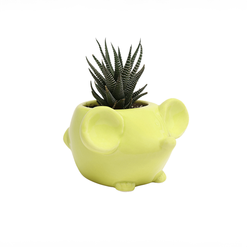 Mouse Ceramic Indoor Plant Pot For Succulents - Chive UK
