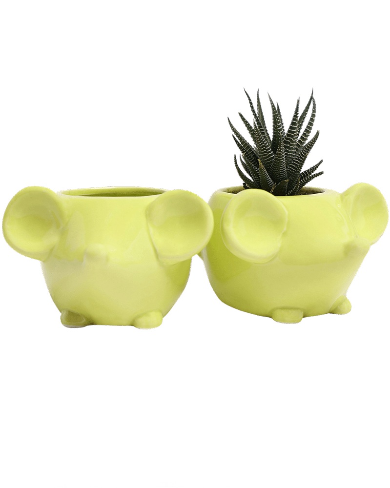 Mouse Ceramic Indoor Plant Pot For Succulents - Chive UK