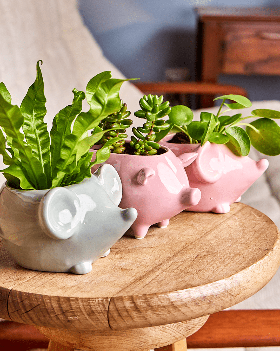 Mouse Ceramic Indoor Plant Pot For Succulents - Chive UK
