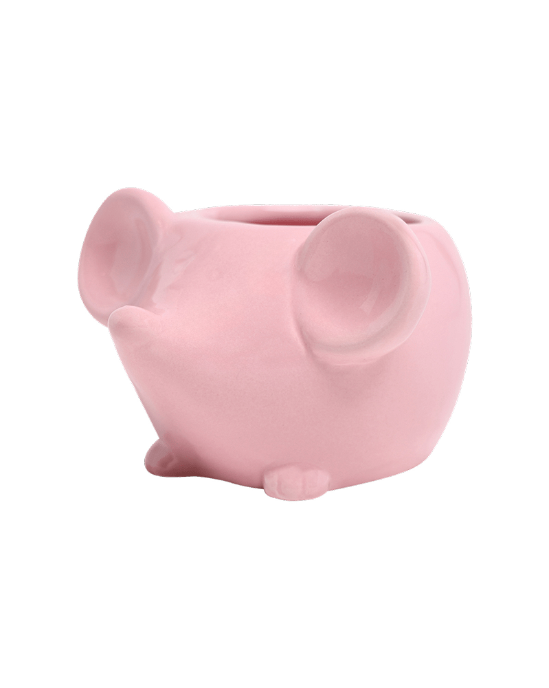 Mouse Ceramic Indoor Plant Pot For Succulents - Chive UK