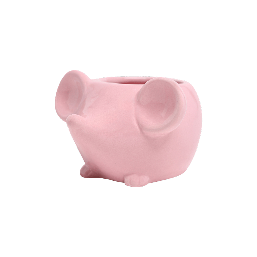 Mouse Ceramic Indoor Plant Pot For Succulents - Chive UK