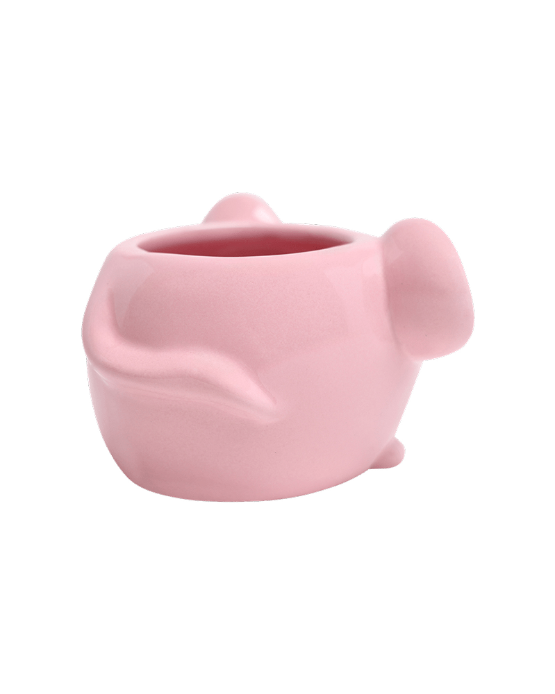 Mouse Ceramic Indoor Plant Pot For Succulents - Chive UK