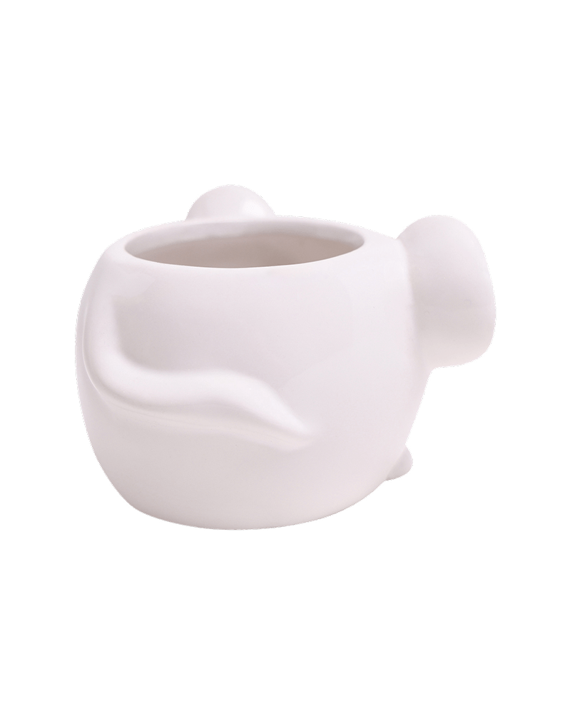 Mouse Ceramic Indoor Plant Pot For Succulents - Chive UK