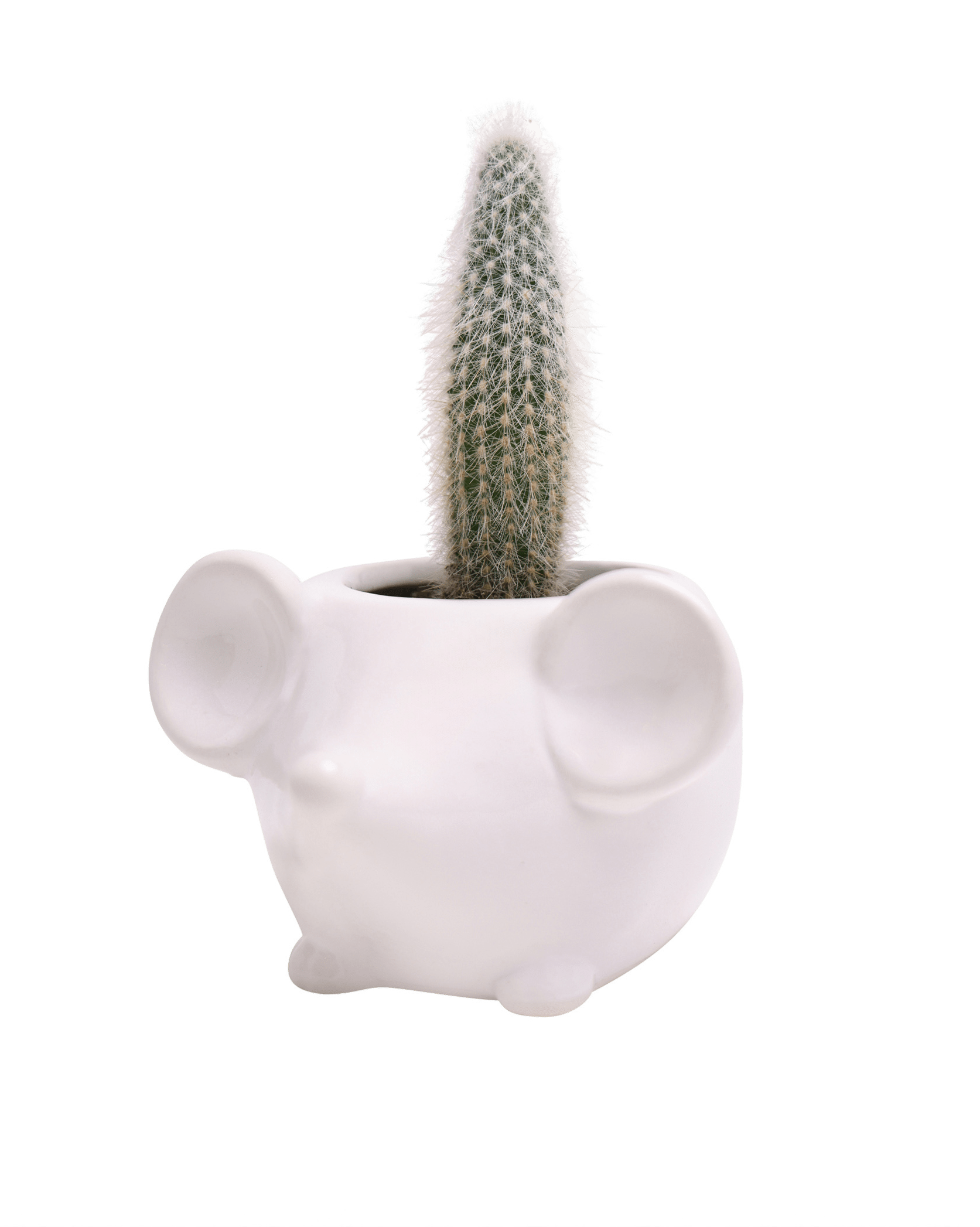 Mouse Ceramic Indoor Plant Pot For Succulents - Chive UK
