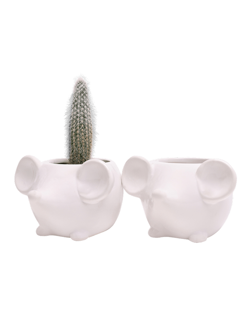 Mouse Ceramic Indoor Plant Pot For Succulents - Chive UK