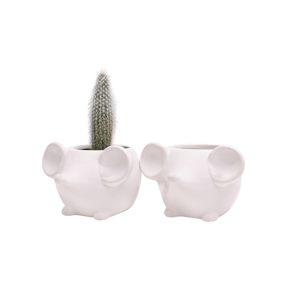 Mouse Ceramic Indoor Plant Pot For Succulents - Chive UK