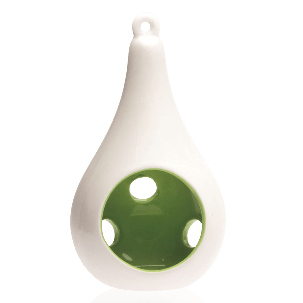 Pod Ceramic Hanging Air Plant Holder - Chive UK