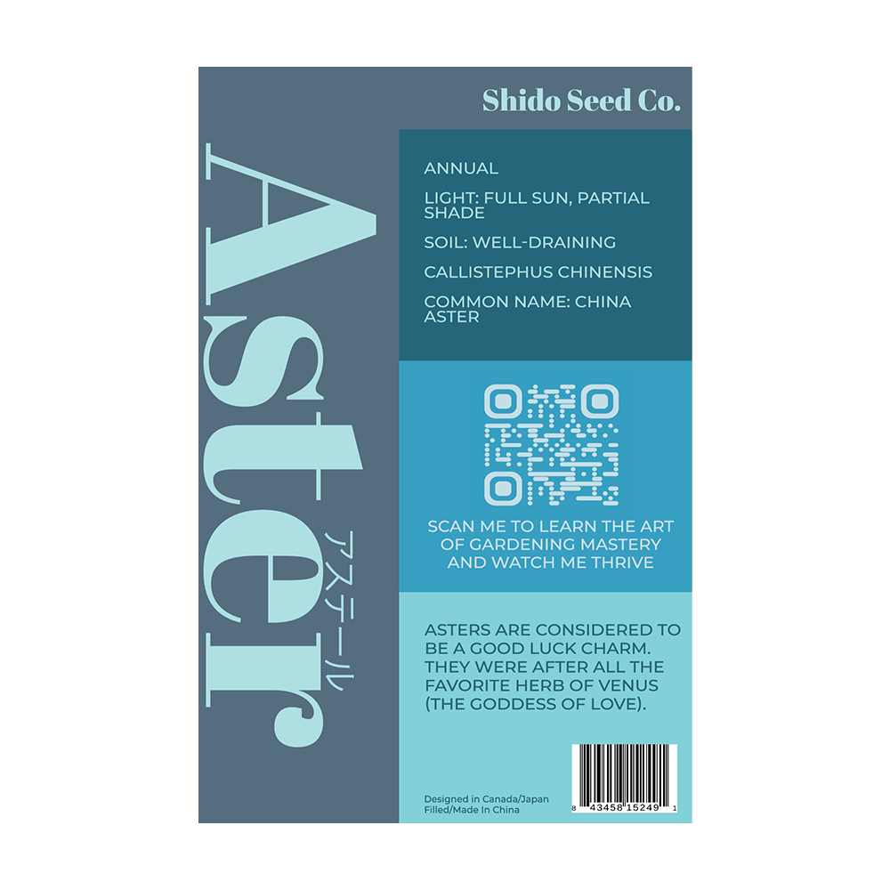 Aster Flower Seeds Packet - Chive UK