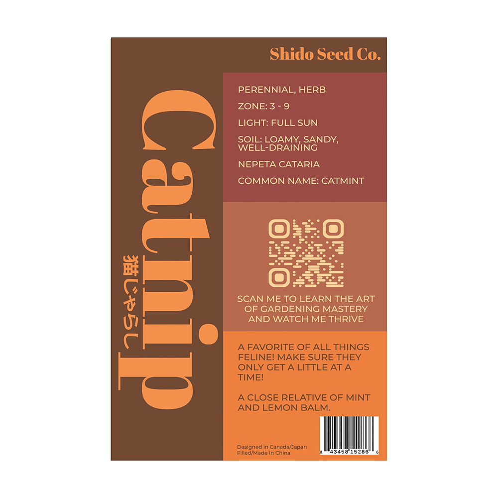 Catnip Flower Seeds Packet - Chive UK