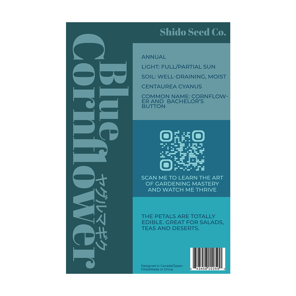 Blue Cornflower Flower Seeds Packet - Chive UK