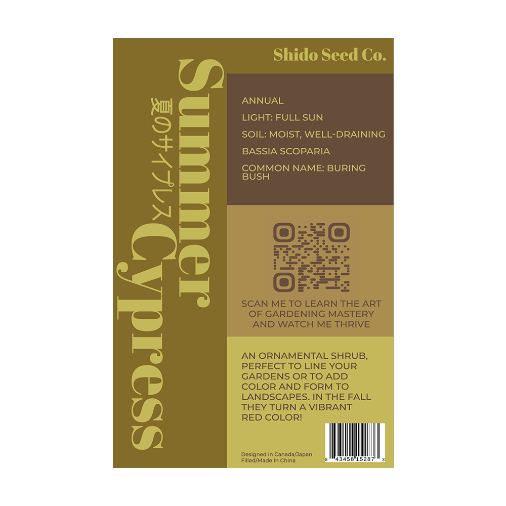 Summer Cypress Flower Seeds Packet - Chive UK