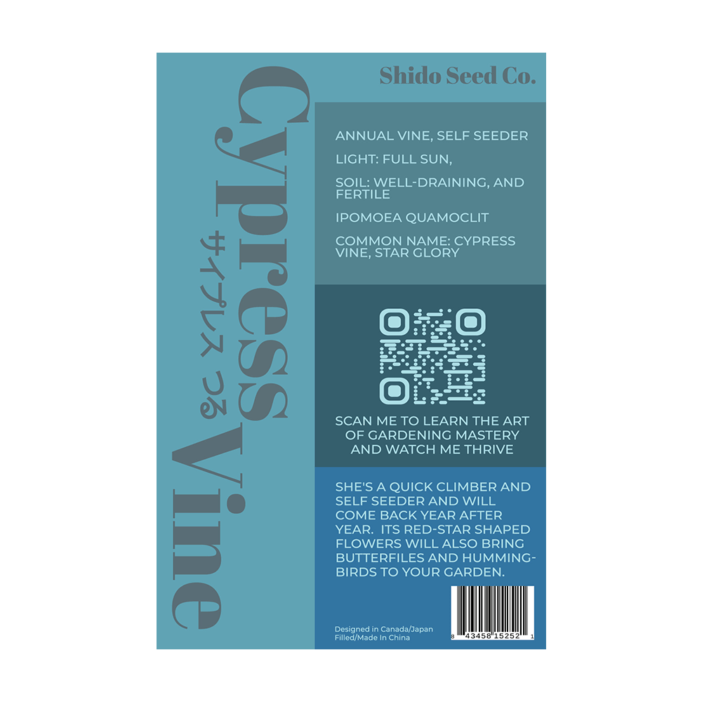 Cypressvine Star Glory Flower Seeds Packet - Chive UK