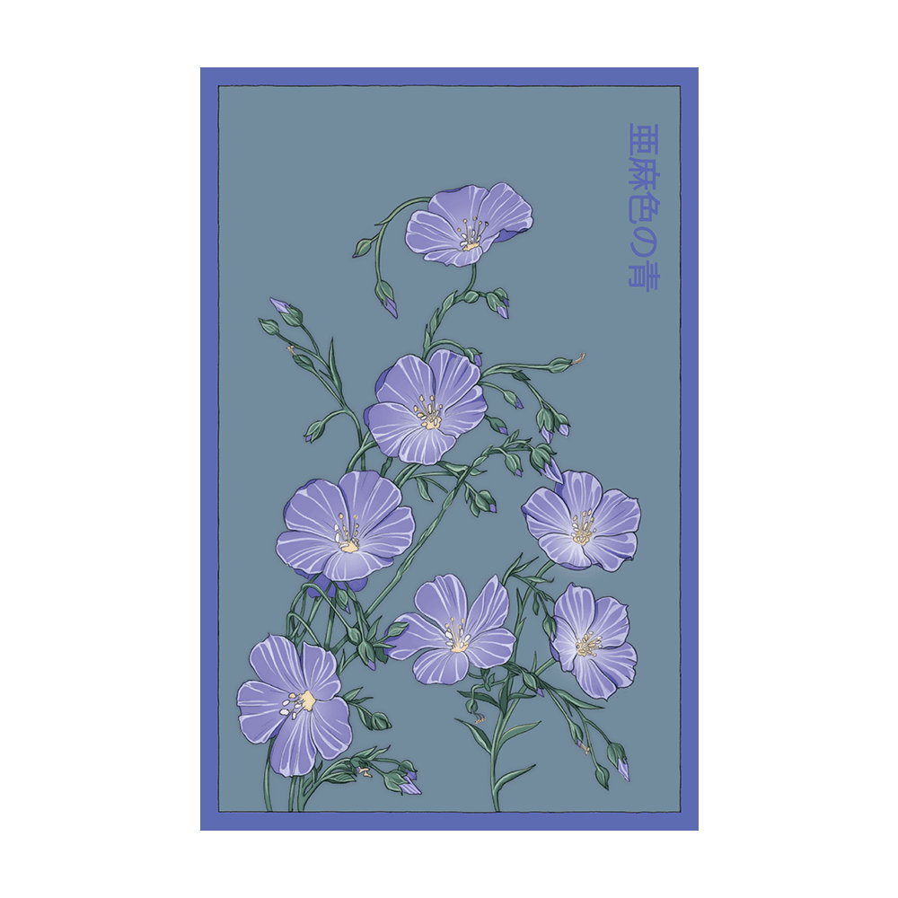 Flax Blue Flower Seeds Packet - Chive UK