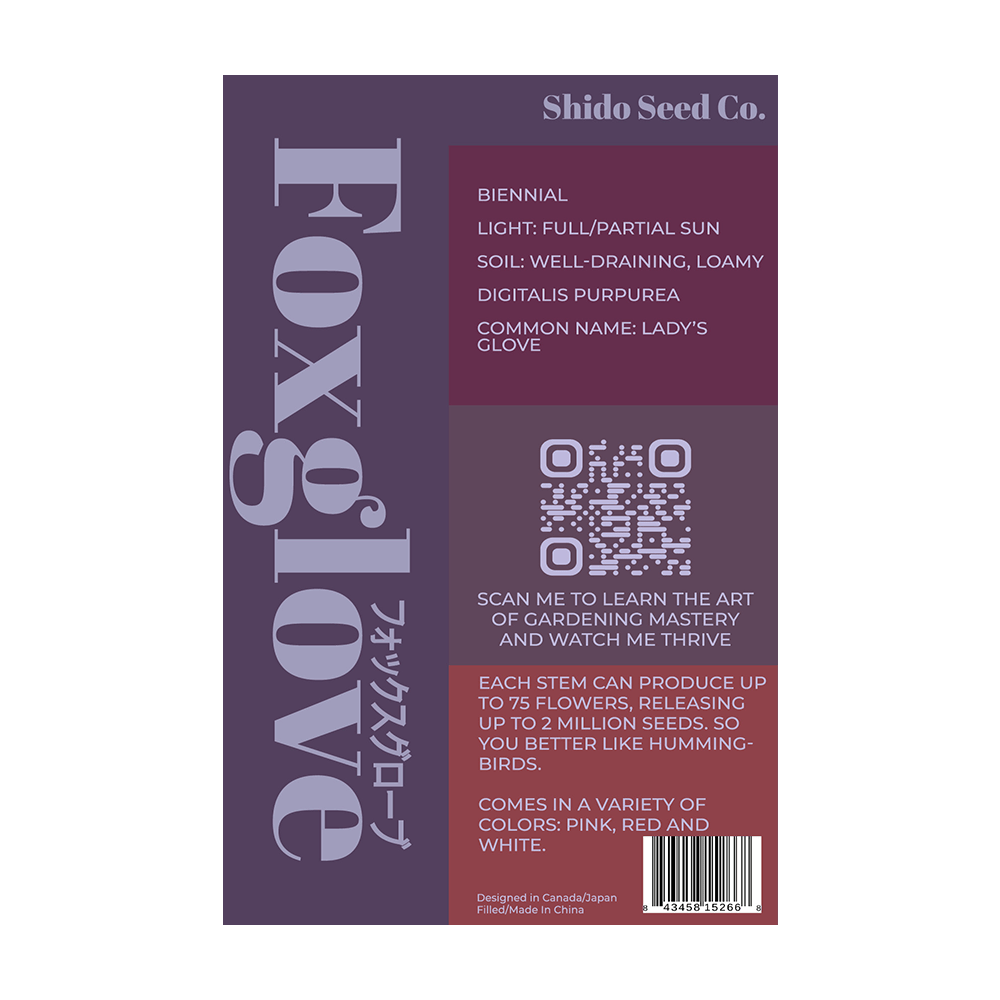 Foxglove Flower Seeds Packet - Chive UK