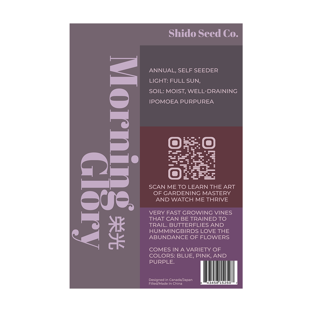 Morning Glory Flower Seeds Packet - Chive UK