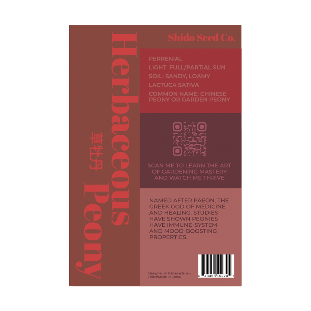 Herbaceous Peony Flower Seeds Packet - Chive UK