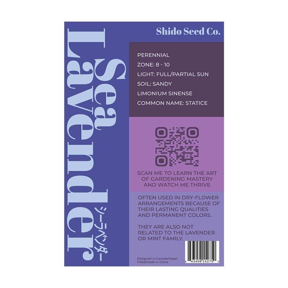 Sea Lavender Flower Seeds Packet - Chive UK