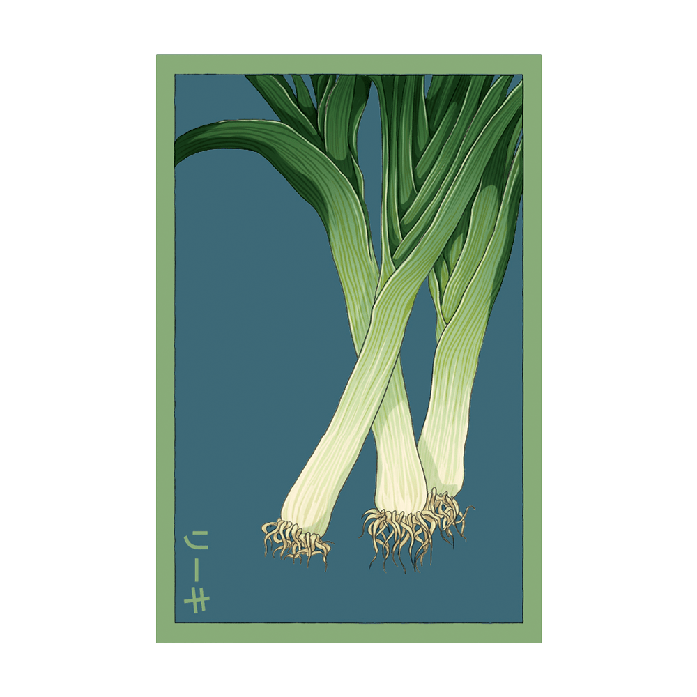 Leek Vegetable Seeds Packet - Chive UK