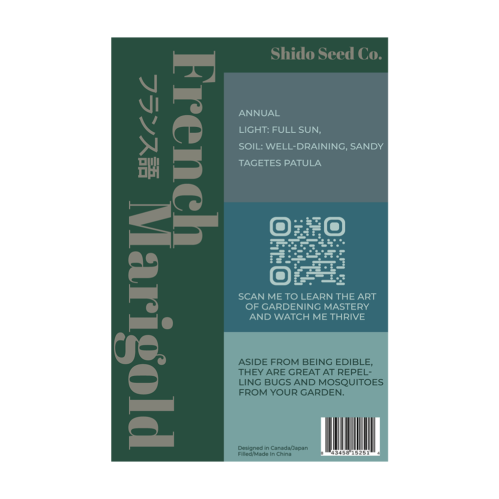 French Marigold Flower Seeds Packet - Chive UK