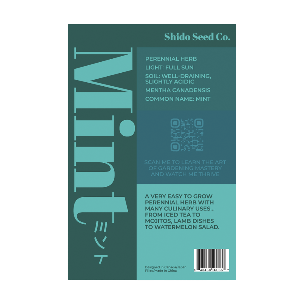 Mint Herb Seeds Packet - Chive UK