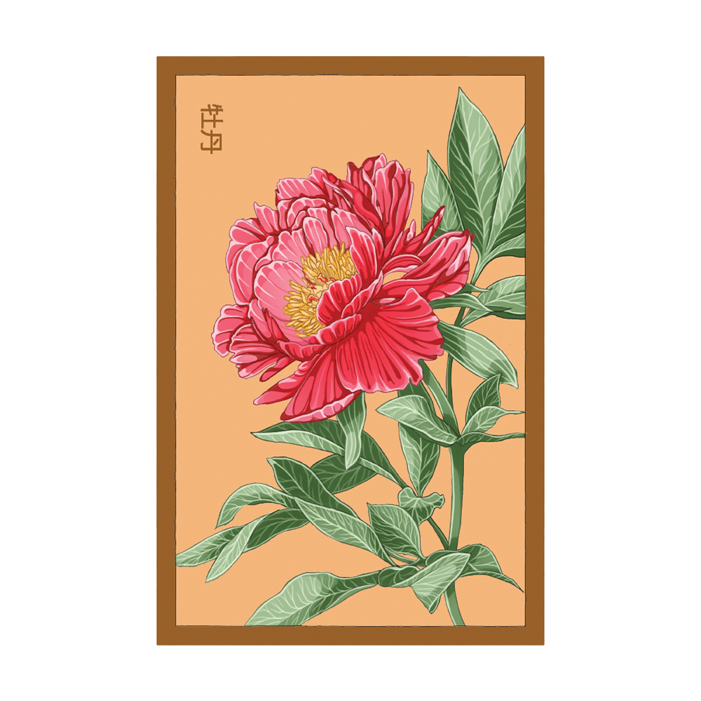 Peony Flower Seeds Packet - Chive UK