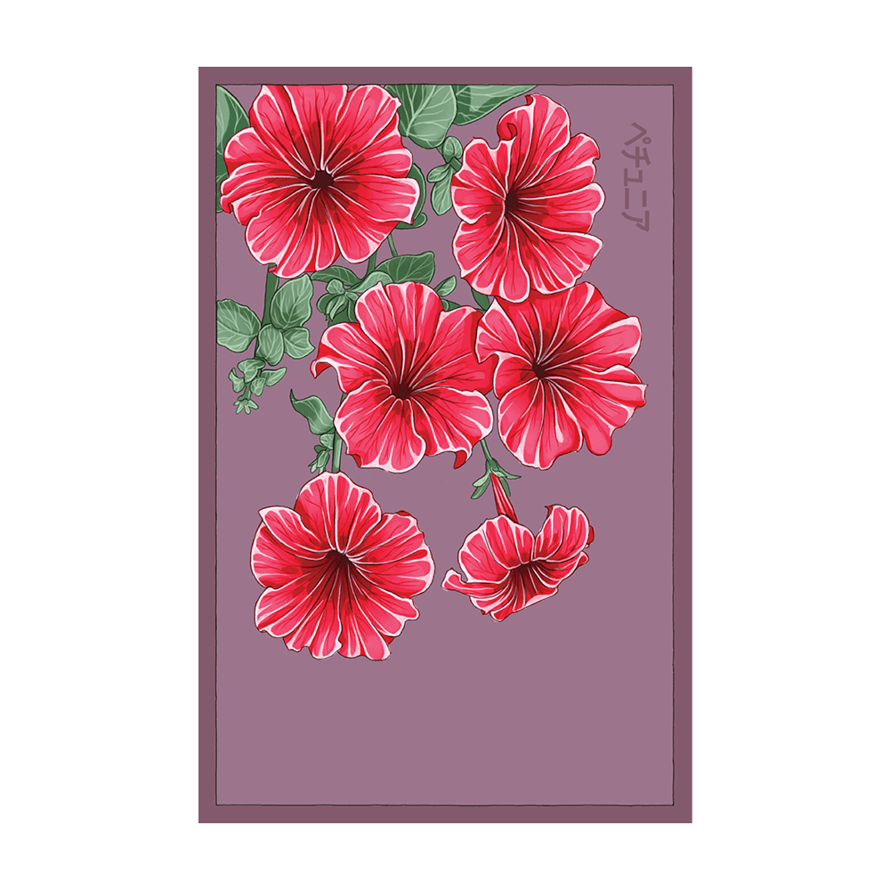 Trailing Petunia Flower Seeds Packet - Chive UK