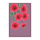 Trailing Petunia Flower Seeds Packet - Chive UK