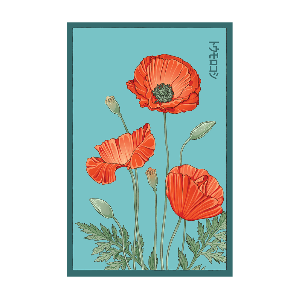 Corn Poppy Flower Seeds Packet - Chive UK