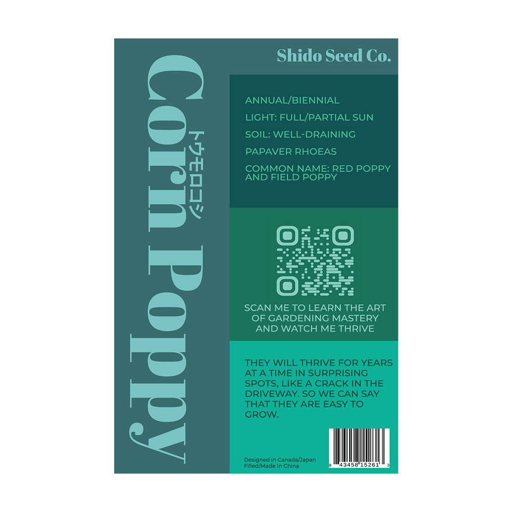 Corn Poppy Flower Seeds Packet - Chive UK