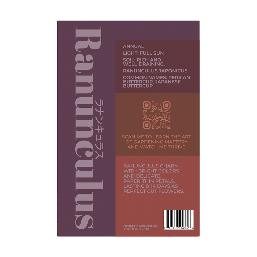 Ranunculus Flower Seeds Packet - Chive UK