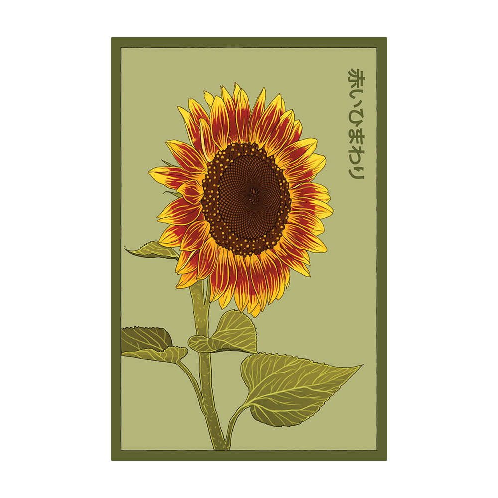 Red Sunflower Flower Seeds Packet - Chive UK