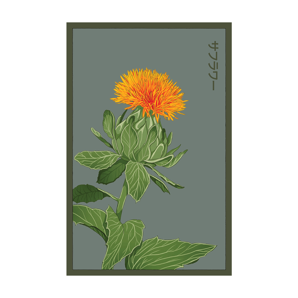 Safflower Flower Seeds Packet - Chive UK