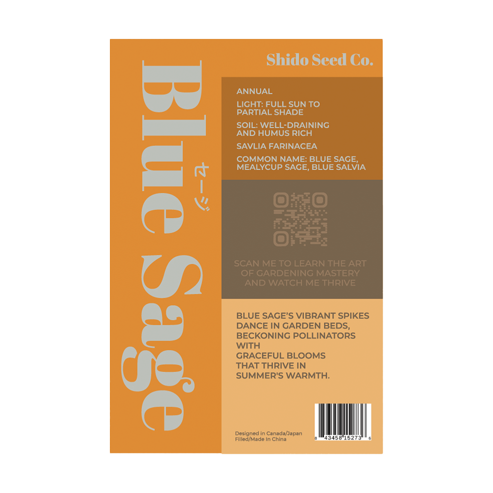Sage Herb Seeds Packet - Chive UK