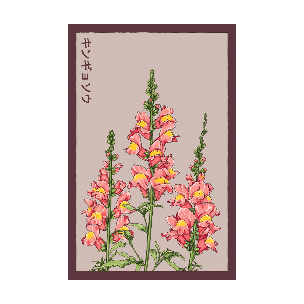 Snapdragon Flower Seeds Packet - Chive UK