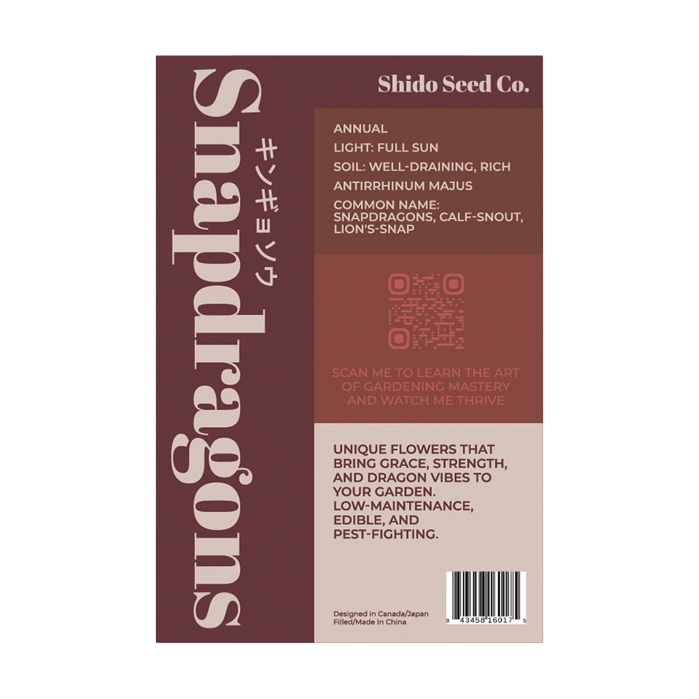 Snapdragon Flower Seeds Packet - Chive UK