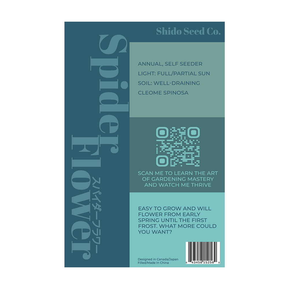 Spiderflower Flower Seeds Packet - Chive UK