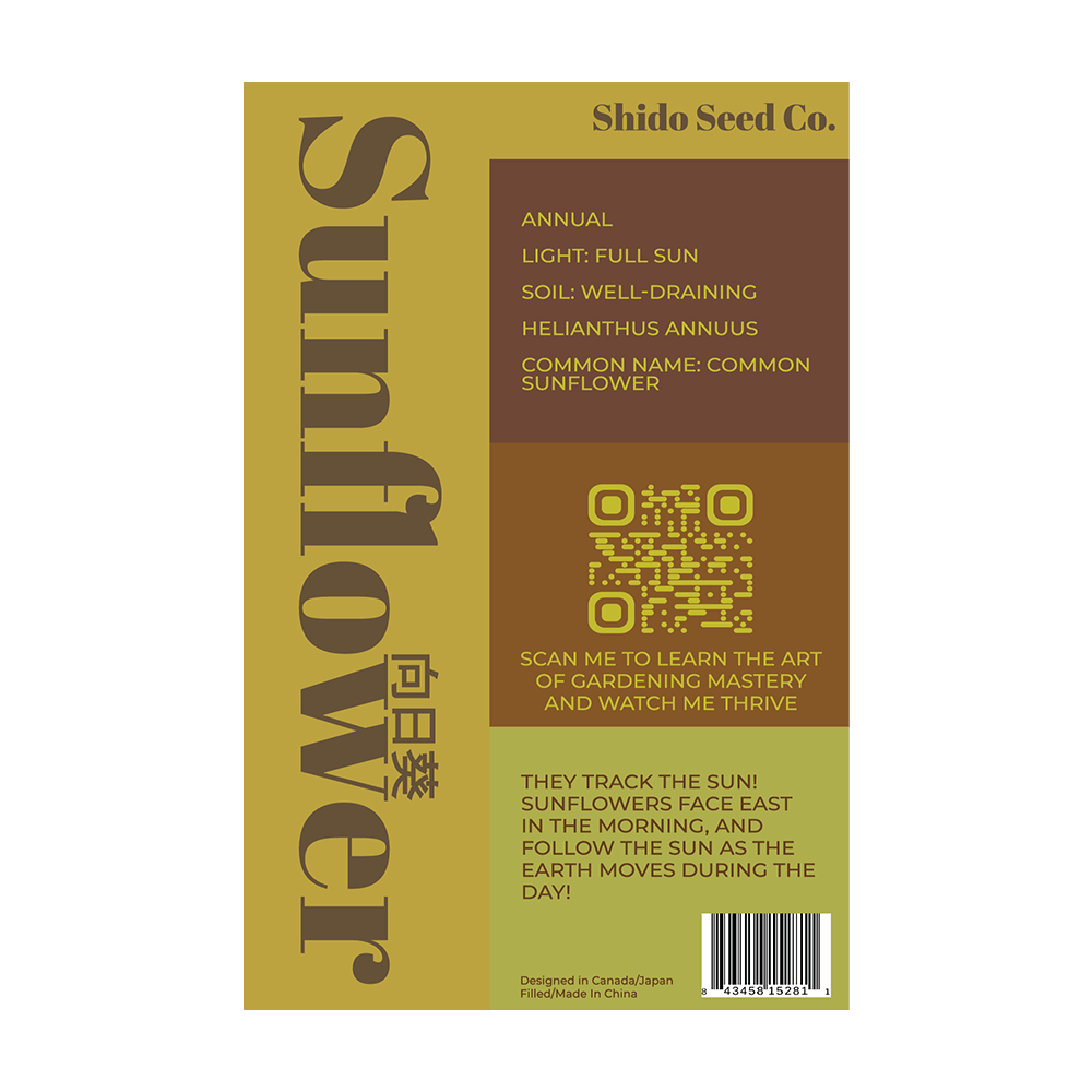 Sunflower Flower Seeds Packet - Chive UK